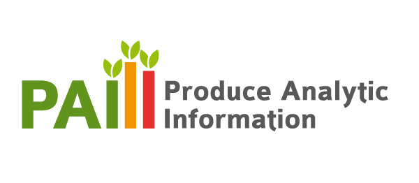 Produce Analytic Information diseño de identidad logo